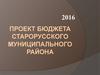 Проект бюджета Старорусского муниципального района