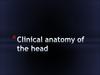 Clinical anatomy of the head