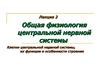 Общая физиология центральной нервной системы