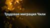 Трудовая миграция Чили