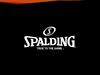 Баскетбольная история Spalding