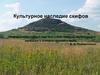 Культурное наследие скифов