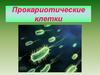 Прокариотические клетки