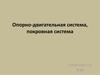 Опорно-двигательная система, покровная система