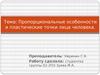 Пропорциональные особенности и пластические точки лица человека