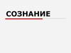 Функция головного мозга сознание