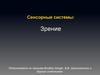 Сенсорные системы. Зрение