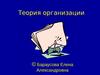 Теория организации