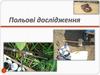 Польові дослідження