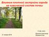 Влияние плотной застройки города на химический состав почвы