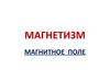 Магнетизм. Магнитное поле