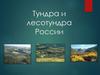 Тундра и лесотундра России