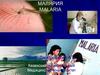 Малярия. Патогенез клинических проявлений