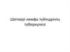 Шеткері лимфа түйіндрінің туберкулезі