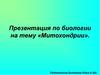 Митохондрии. Происхождение митохондрии. Митохондриальная ДНК