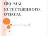 Формы естественного отбора