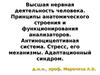 Принципы анатомического строения и функционирования анализаторов. Антиноцицептивная система. Стресс, его механизмы