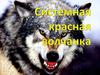 Системная красная волчанка