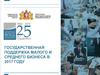 Государственная поддержка малого и среднего бизнеса в 2017 году