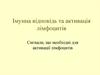 Імунна відповідь та активація лімфоцитів. Сигнали, що необхідні для активації лімфоцитів