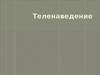 Теленаведение. Системы наведения