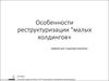 Особенности реструктуризации "малых холдингов»