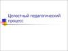 Целостный педагогический процесс
