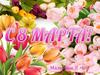С праздником 8 марта! Фотоальбом