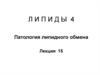 Патология липидного обмена