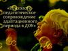 Психолого-педагогическое сопровождение адаптационного периода в ДОУ