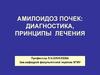 Амилоидоз почек. Диагностика, принципы лечения