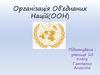 Організація Об’єднаних Націй (ООН)