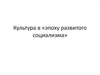 Культура в эпоху развитого социализма