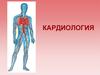Кардиология. Распространенные заболевания сердечно-сосудистой системы