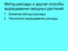Метод рассады и другие способы выращивания овощных растений