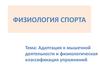 Физиология спорта. Адаптация к мышечной деятельности и физиологическая классификация упражнений