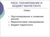 Риск, планирование и бюджет маркетинга