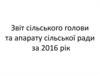 Звіт сільського голови та апарату сільської ради
