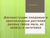 Дикорастущие плодовые и орехоплодные растения разных типов леса, их запасы и заготовка