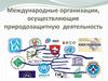 Международные организации, осуществляющие природозащитную  деятельность