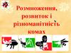 Розмноження, розвиток і різноманітність комах