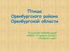 Птицы Оренбургского района