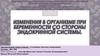 Изменения в организме при беременности со стороны эндокринной системы