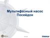 Мультифазный насос Посейдон
