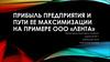 Прибыль предприятия и пути ее максимизации на примере ООО «Лента»