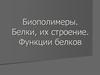 Биополимеры. Белки, их строение. Функции белков