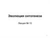 Эволюция онтогенеза. (лекция 10)