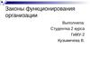 Законы функционирования организации