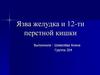 Язва желудка и 12-ти перстной кишки