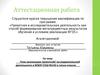 Аттестационная работа. План реализации проектной и исследовательской деятельности в МАОУ СОШ №142. (5 класс)